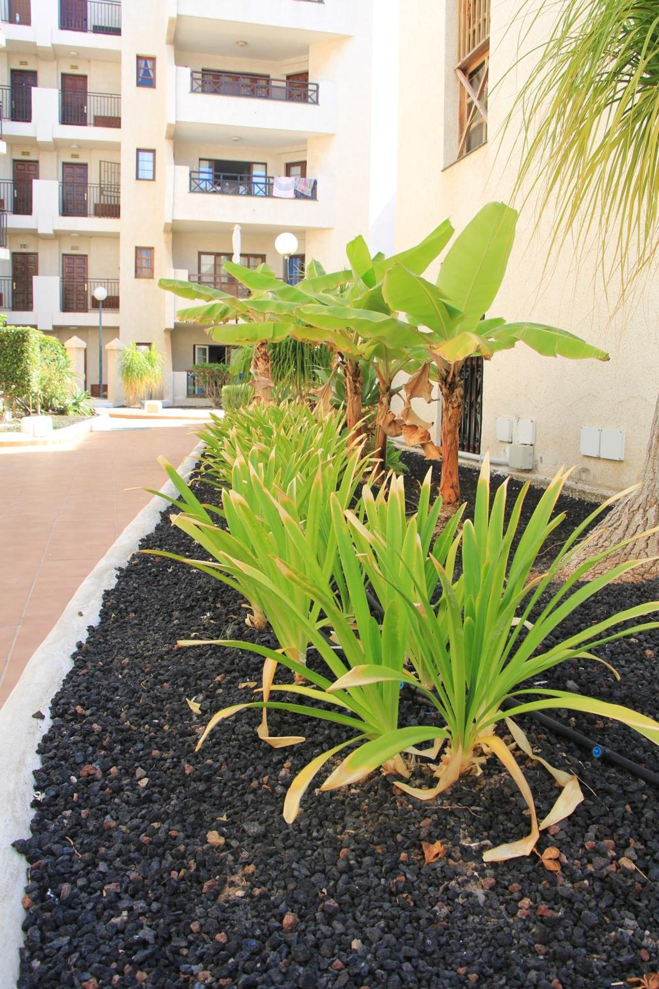 Las Americas - 2 Bedrooms - Flayla-A Arona  Exterior photo